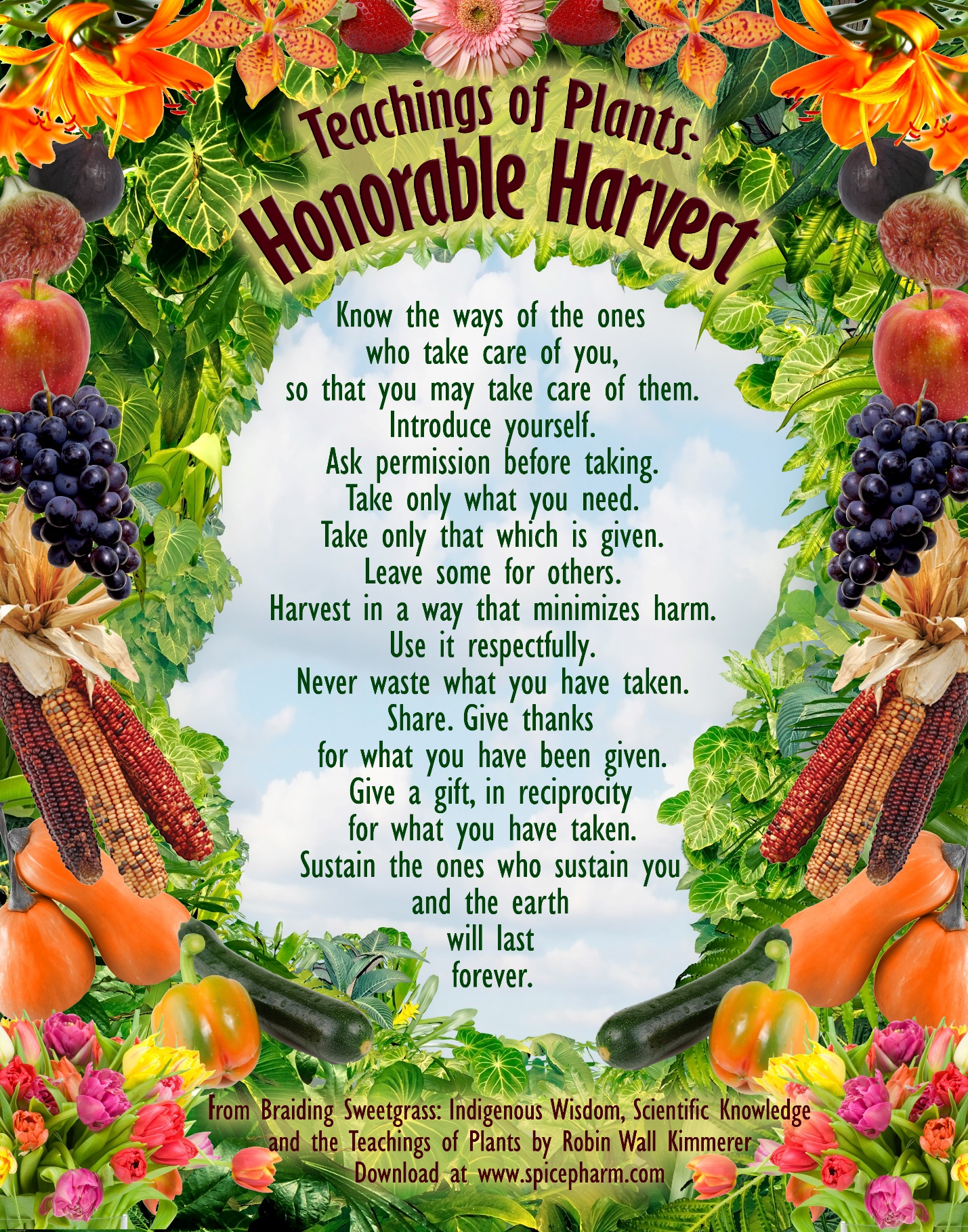 Honorable Harvest | Spice Pharm